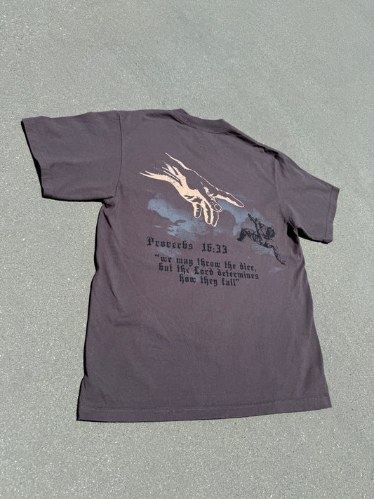 Brown "Proverbs 16:33 T"